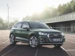 Audi SQ5 3.0 TFSI 2017 года (WW)